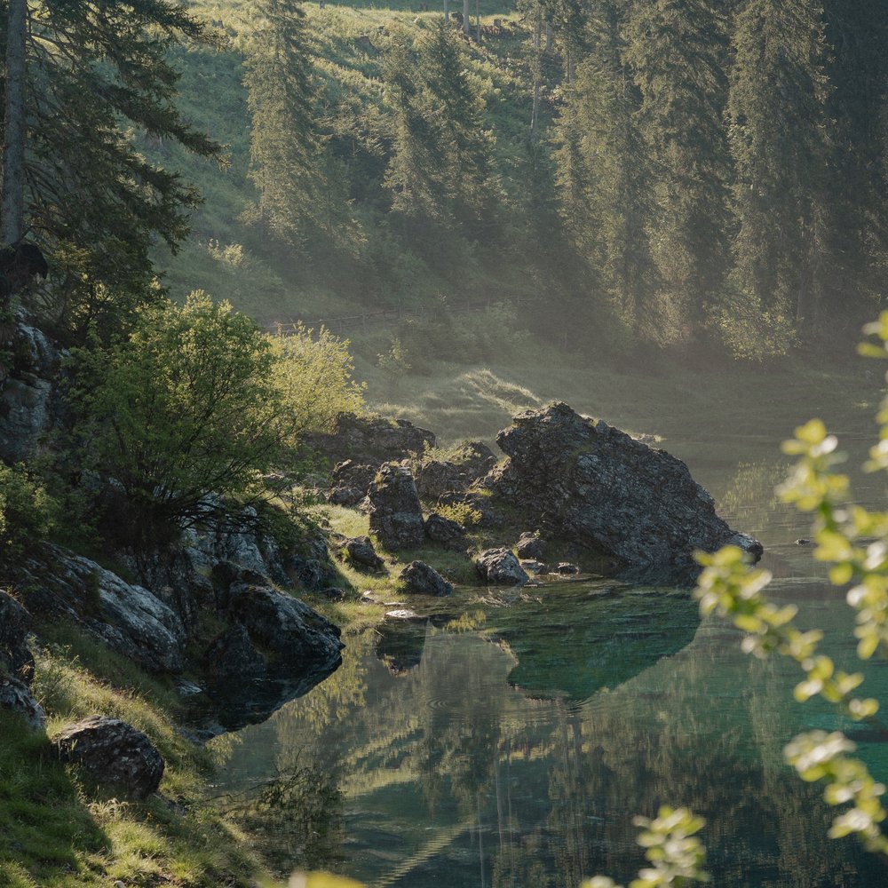 Alberghi al Lago di Carezza: l’Alpenrose