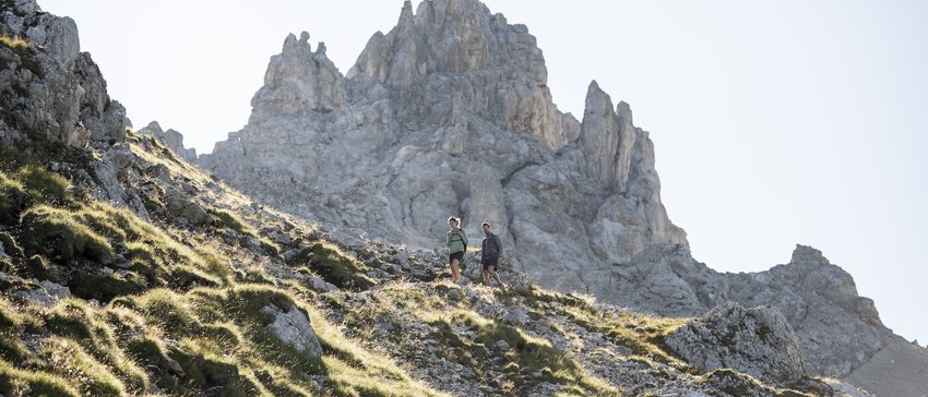 Social Media: Alpenrose, Carezza, Skigebiet …